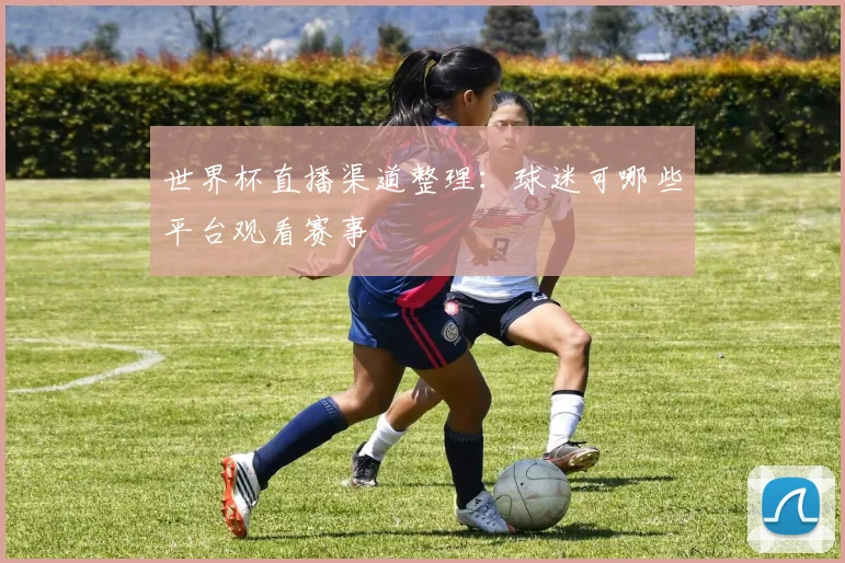 世界杯直播渠道整理：球迷可哪些平台观看赛事