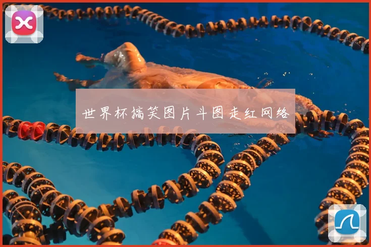 世界杯搞笑图片斗图走红网络