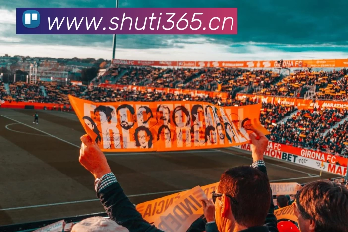 App Interface Preview